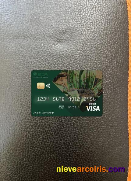 Angola Comercial Bank visa card photolook